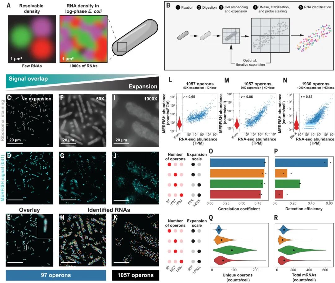 image005.jpg image005.jpg