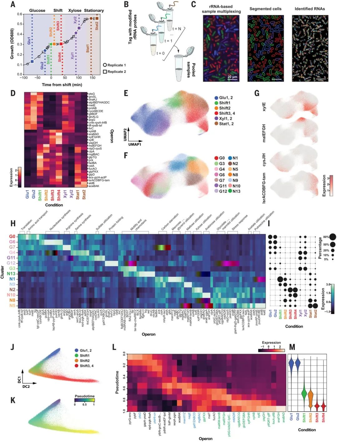 image007.jpg image007.jpg