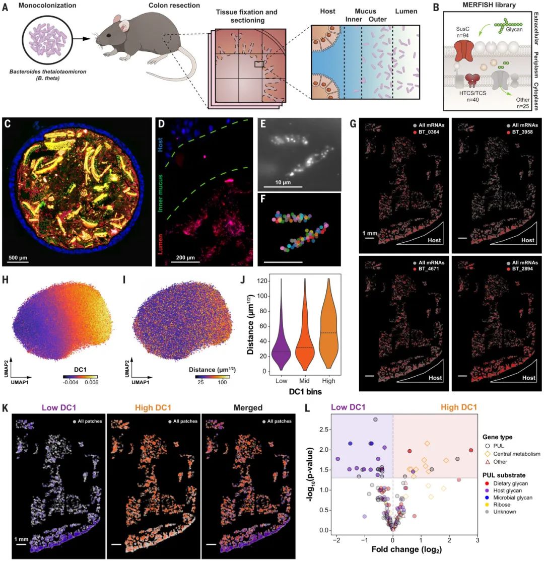 image011.jpg image011.jpg