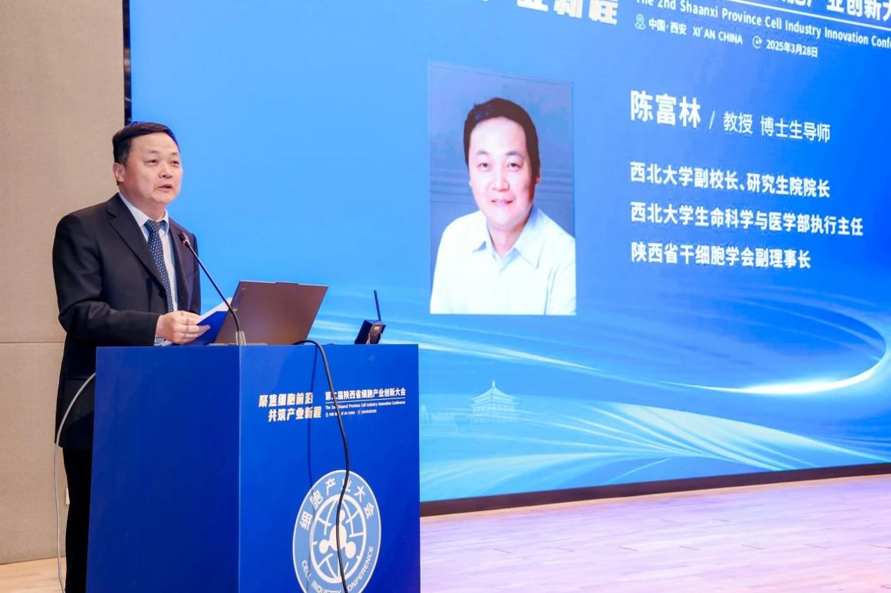 image011.jpg image011.jpg