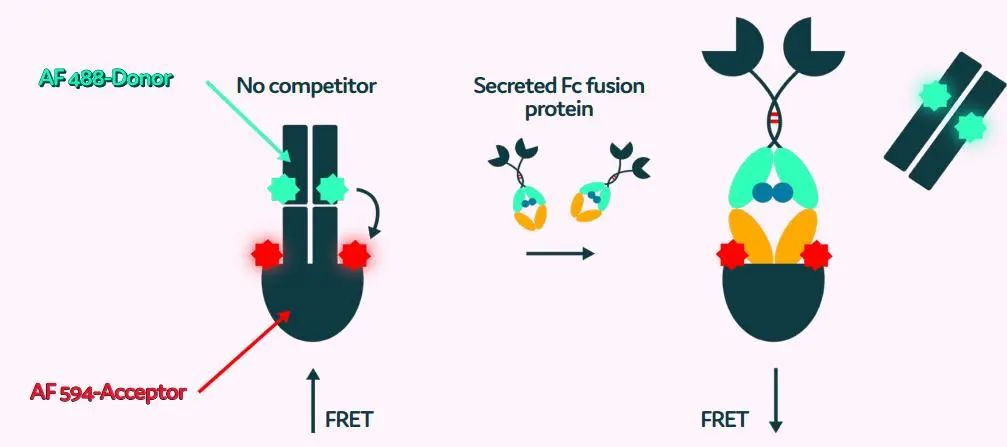 image001.jpg image001.jpg