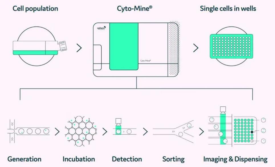 image004.jpg image004.jpg