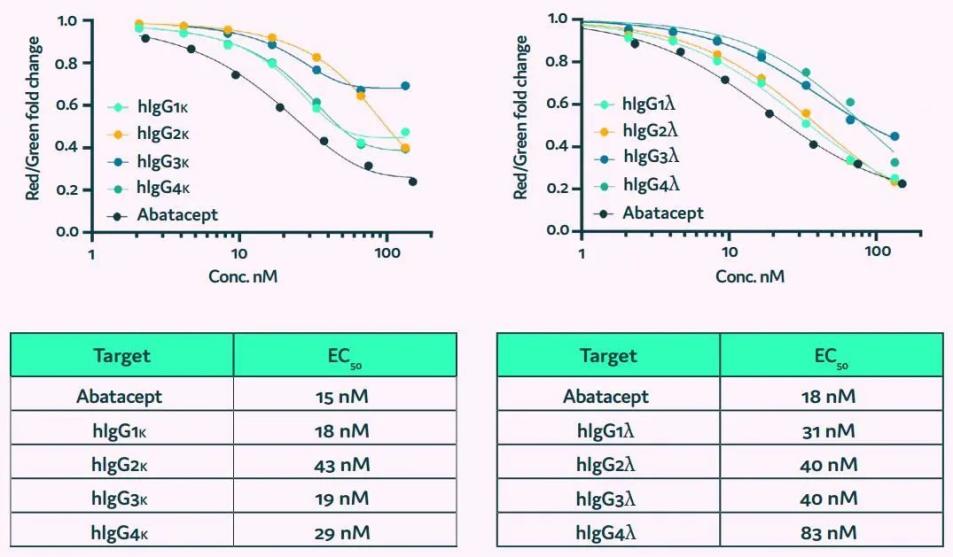 image008.jpg image008.jpg