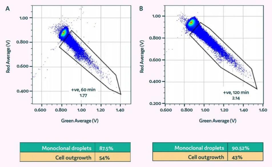 image010.jpg image010.jpg