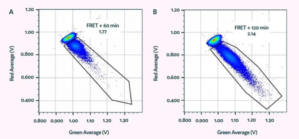 image012.jpg image012.jpg
