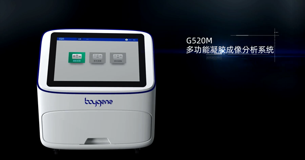 image001.png image001.png