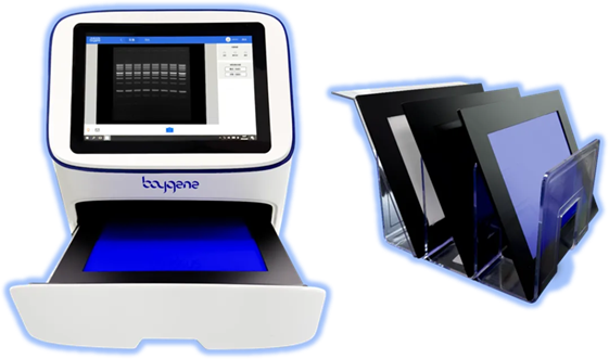 image003.png image003.png