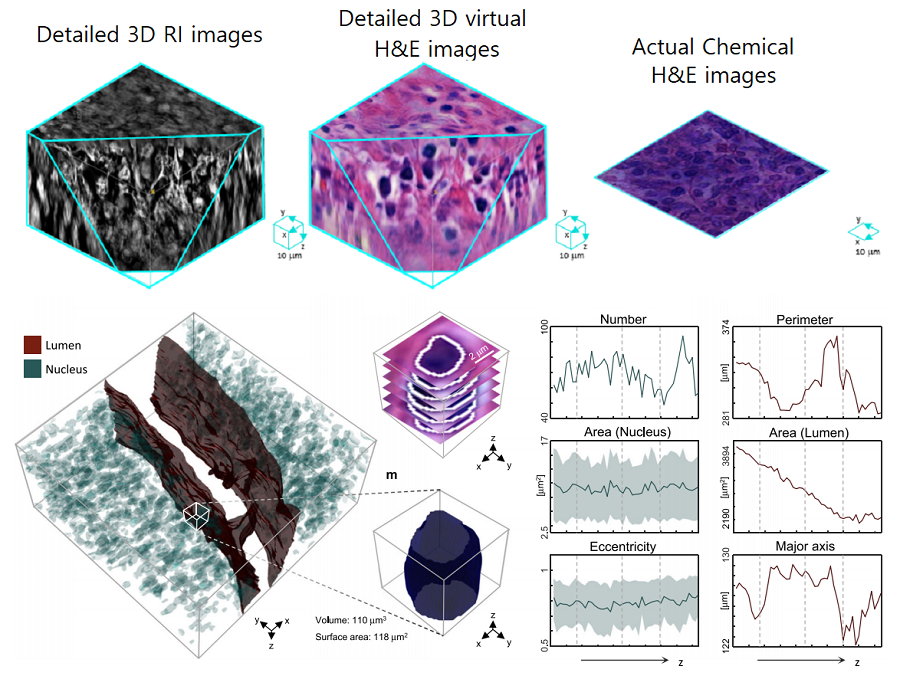 060606.png 060606.png