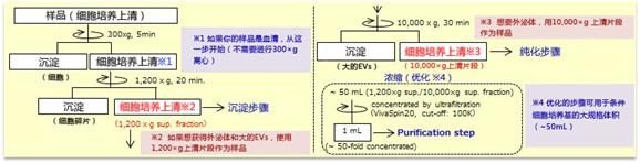 protocol[1]-cn.jpg