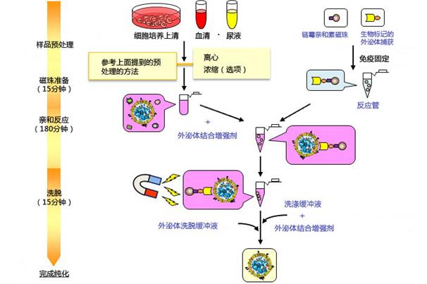 flow[1]-cn.jpg