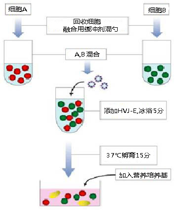 悬浮法.jpg