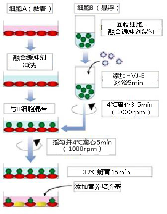 另一个方法.jpg