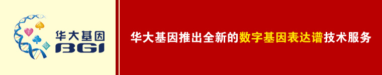 ��������Ƴ�ȫ�µ����ֻ�������׼�������