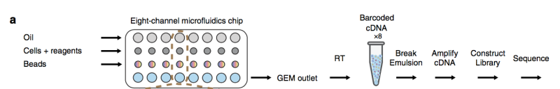 图8   GemCode平台单细胞RNA-Seq工作流程图