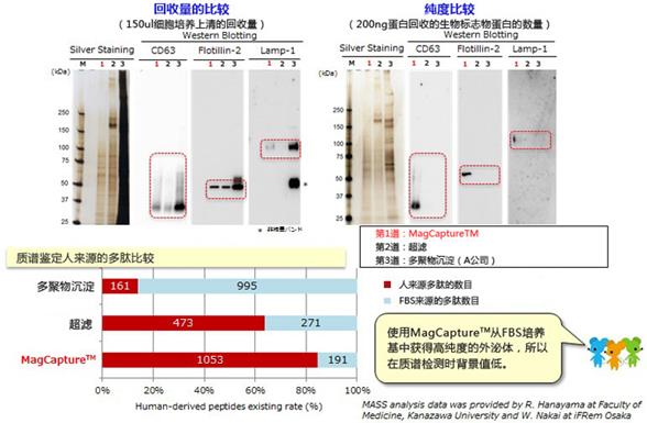 k562-2[1]-cn.jpg