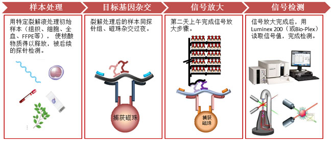 QuantiGenebDNA 