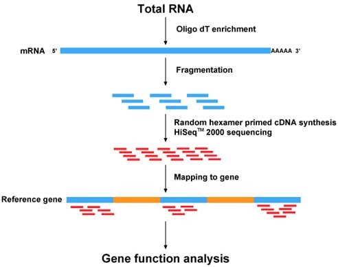 http://www.genomics.cn/data/attachment/image/4(5).jpg