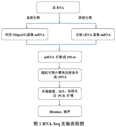 http://img1.jiansuo.net/cms/upload/asset/2010/12/10/1291964935.jpg