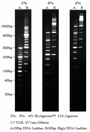 HyAgarose