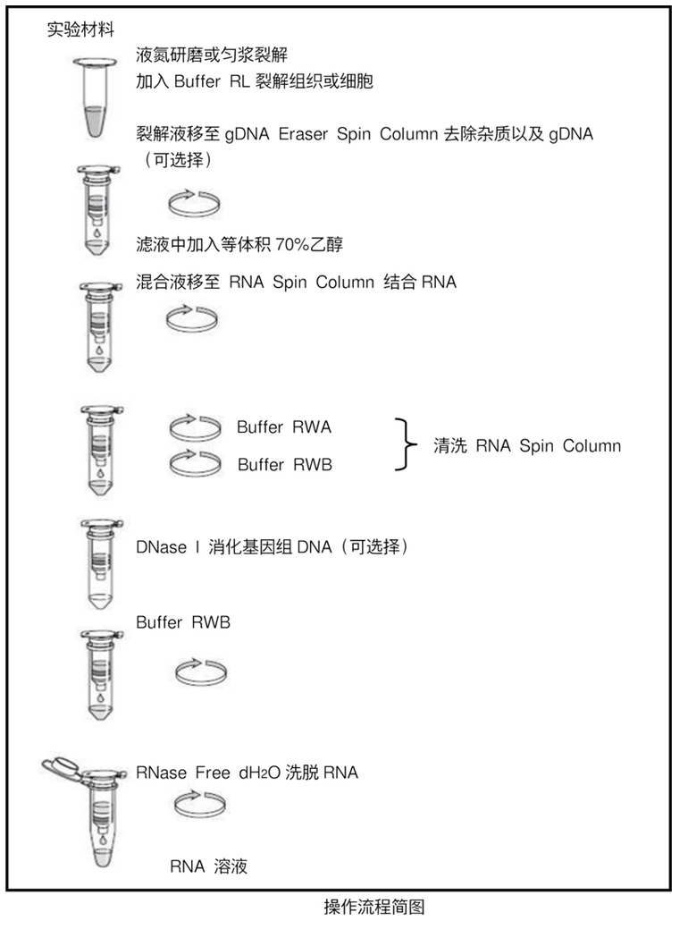 TaKaRa MiniBEST Universal RNA Extraction Kit Total RNA提取试剂