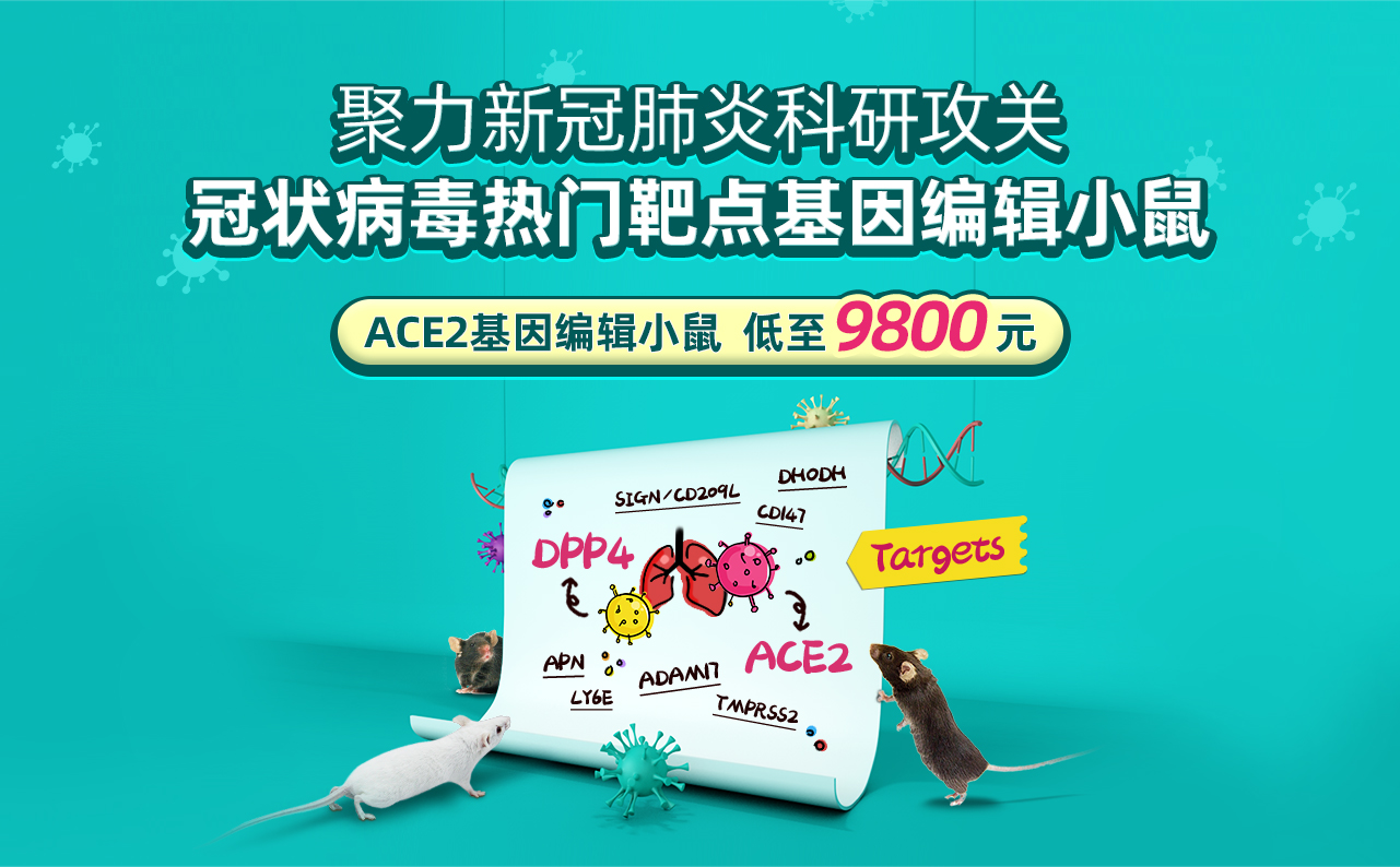 聚力新冠肺炎科研攻关冠状病毒热门靶点基因编辑小鼠ACE2基因编辑小鼠  低至9800元