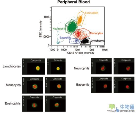 流式細胞術的*新突破[創新技巧]