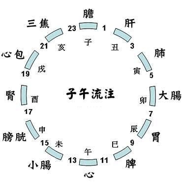 十二时辰的脸型图片