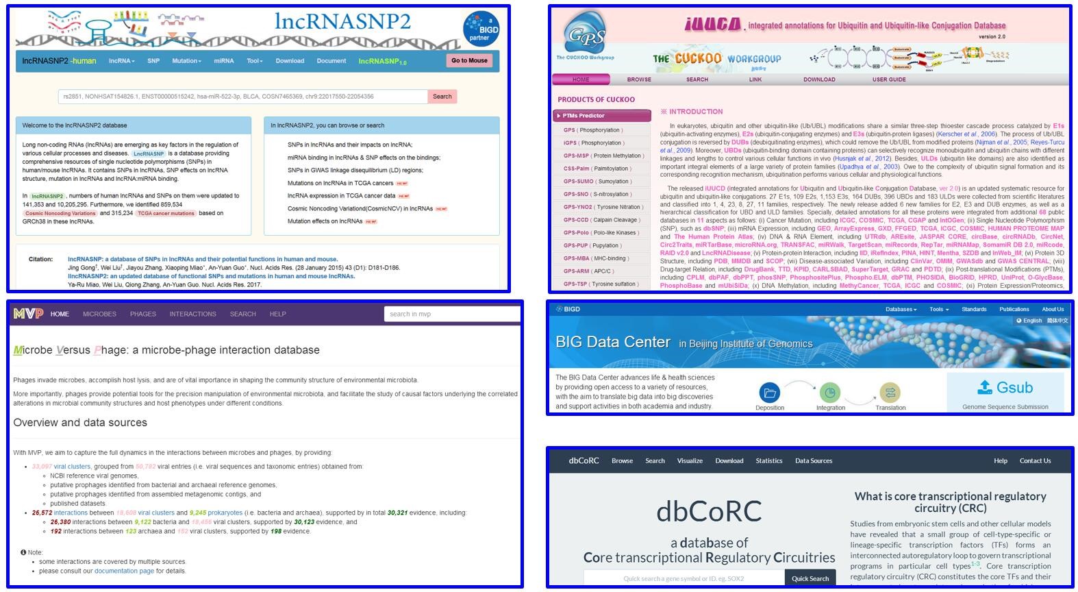 华中科大连发五篇文章：发布lncRNA、泛素修饰等多个重要数据库