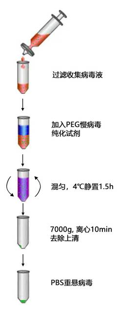 PEG慢病毒纯化试剂免费试用装活动