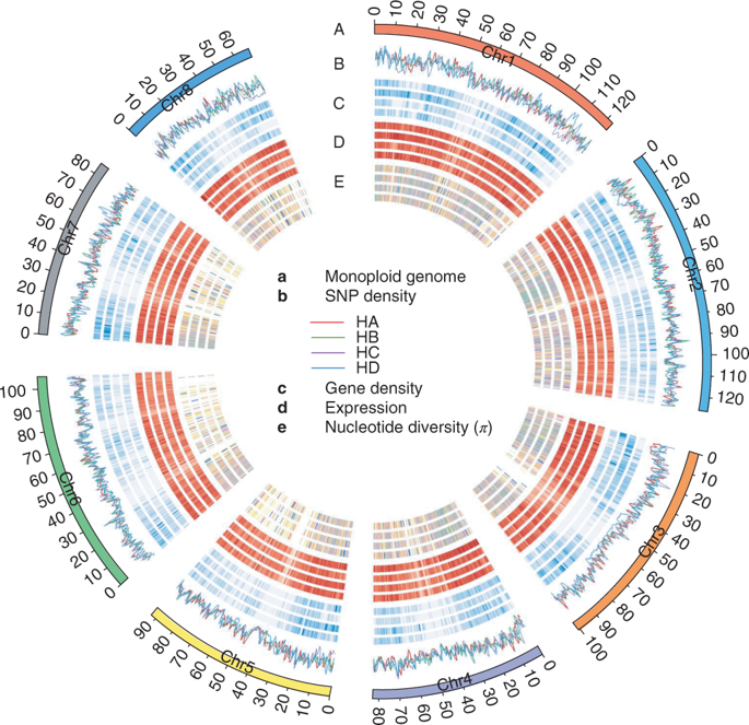 福建农林大学发表Nature Genetics文章 全球首次破译甘蔗基因组